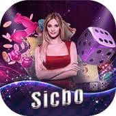 Live casino interface preview for 19 bd adult users in Bangladesh